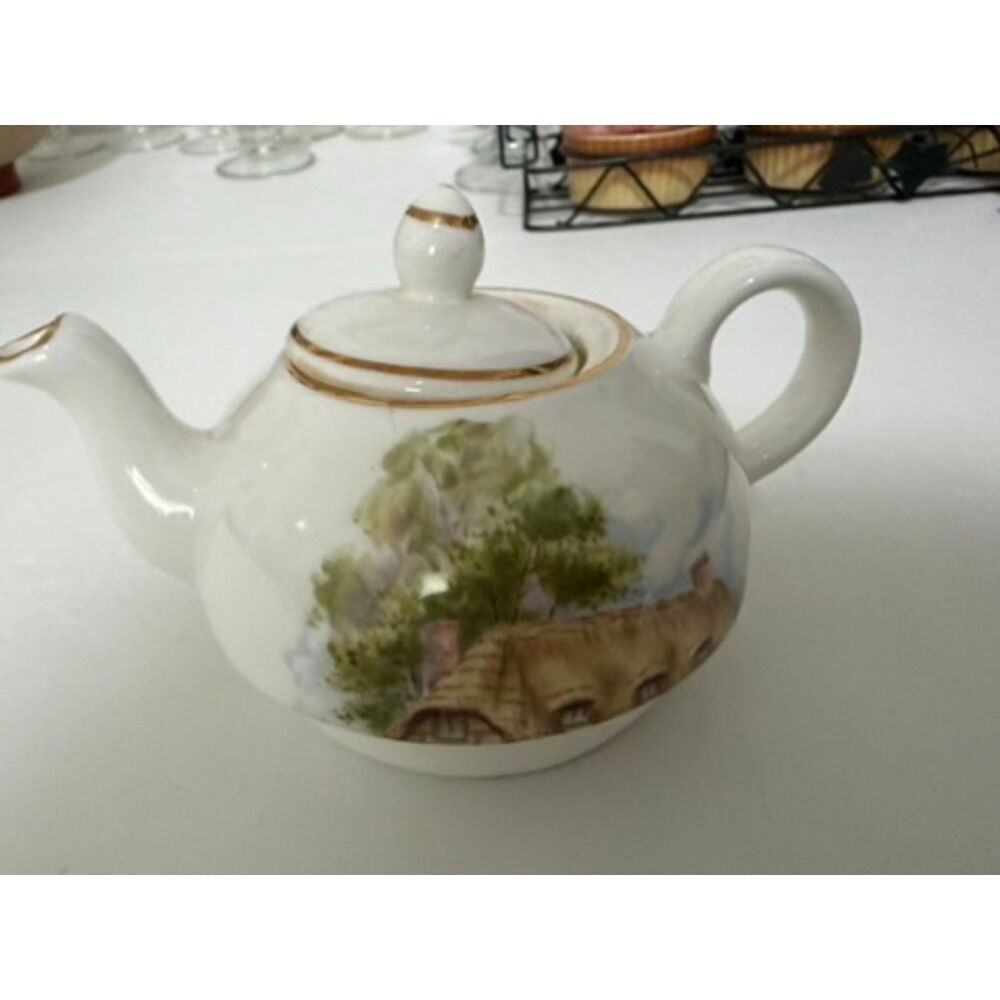 Vtg. Sheltonian china English bone china teapot